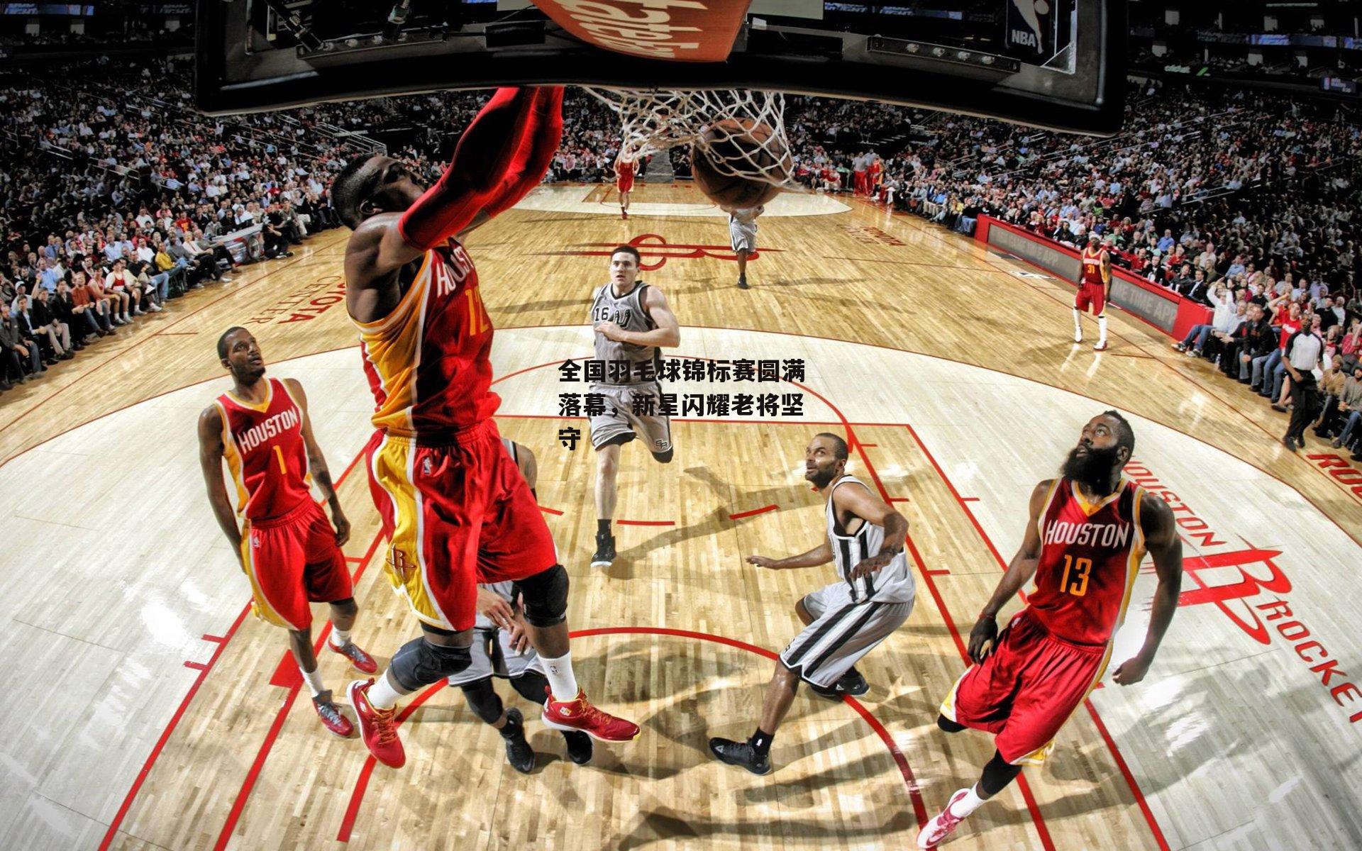 全国羽毛球锦标赛圆满落幕,新星闪耀老将坚守